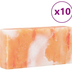 vidaXL Zoutstenen 10 st Roze 20 x 10 x 5 cm Steenzout