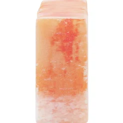 vidaXL Zoutstenen 10 st Roze 20 x 10 x 5 cm Steenzout