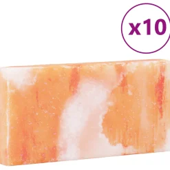 vidaXL Zoutstenen 10 st Roze 20 x 2,5 x 10 cm Steenzout
