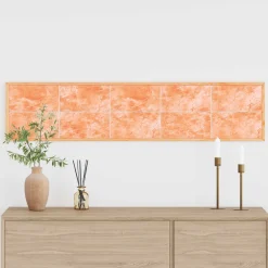 vidaXL Zoutstenen 10 st Roze 20 x 2,5 x 10 cm Steenzout