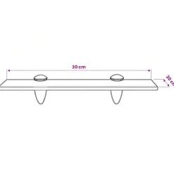 vidaXL Zwevend schap 30x20 cm 8 mm glas